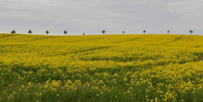 sverige