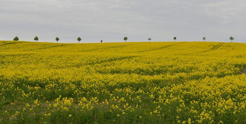 sverige