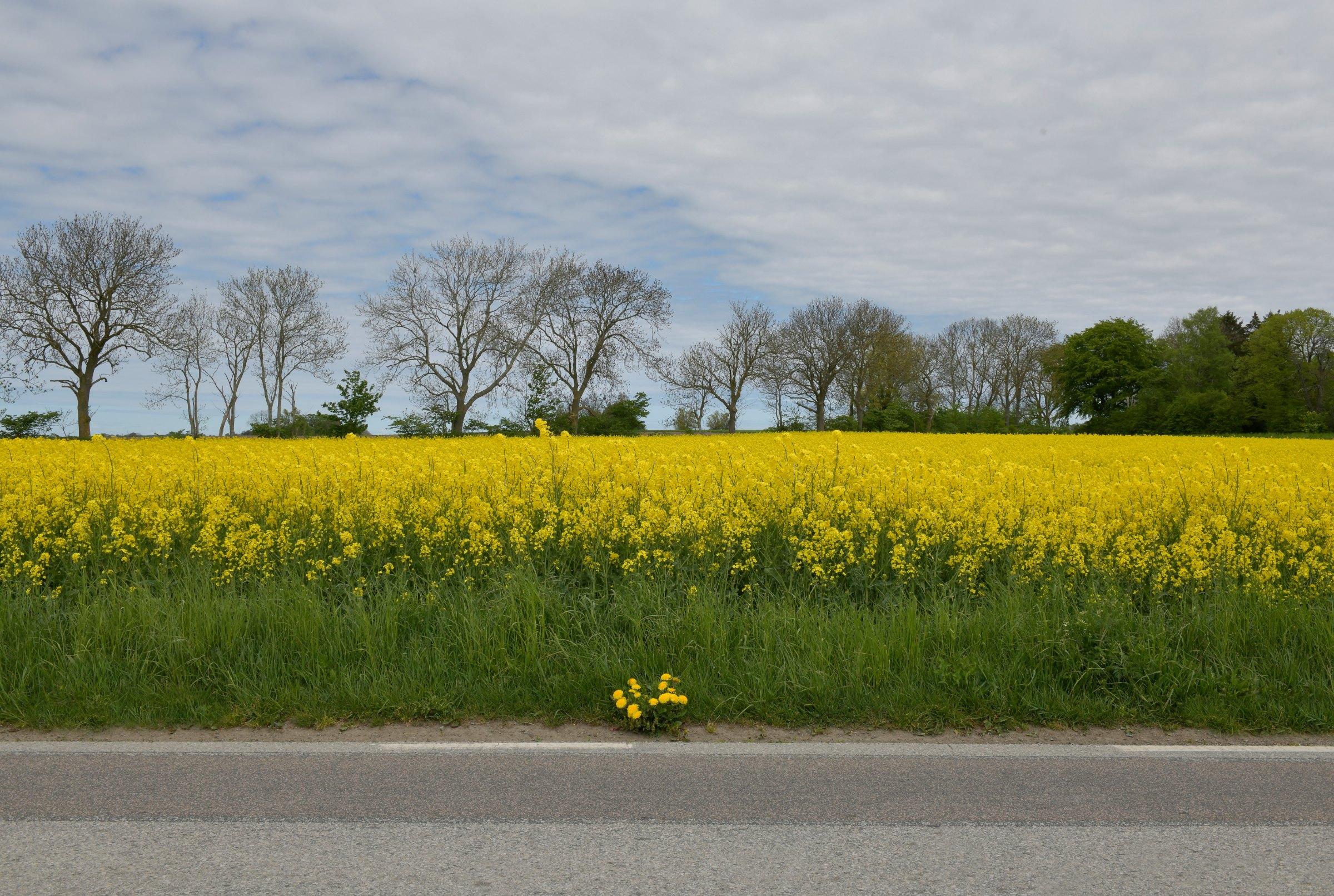 sverige