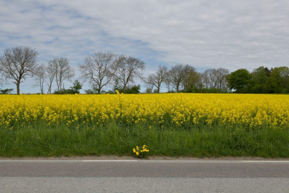 sverige