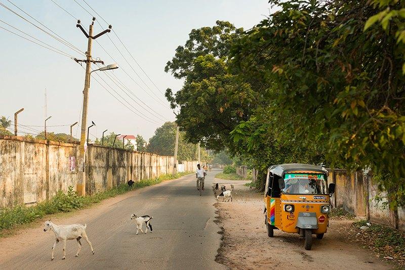 india